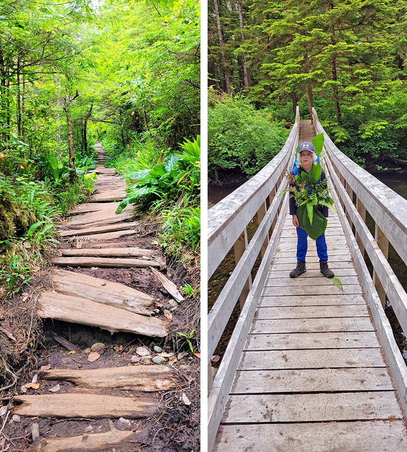 Cape Scott Trail, Vancouver Island