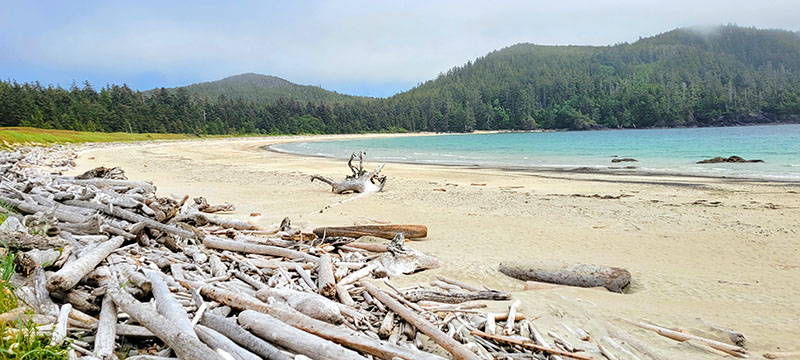 Experiment Bight Cape Scott Trail