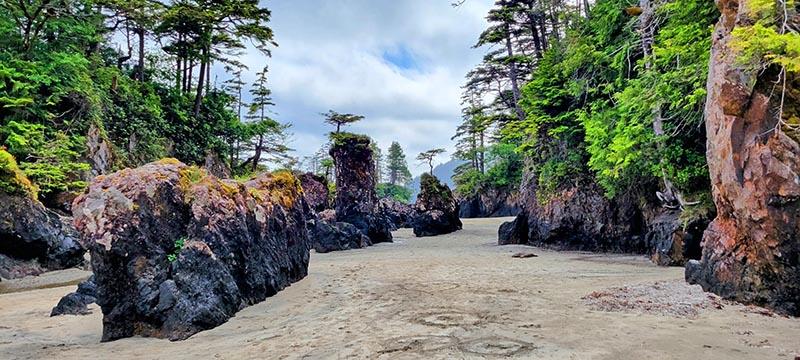 Jan Josef Bay, Cape Scott Trail