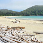 Experiment Bight Cape Scott Trail